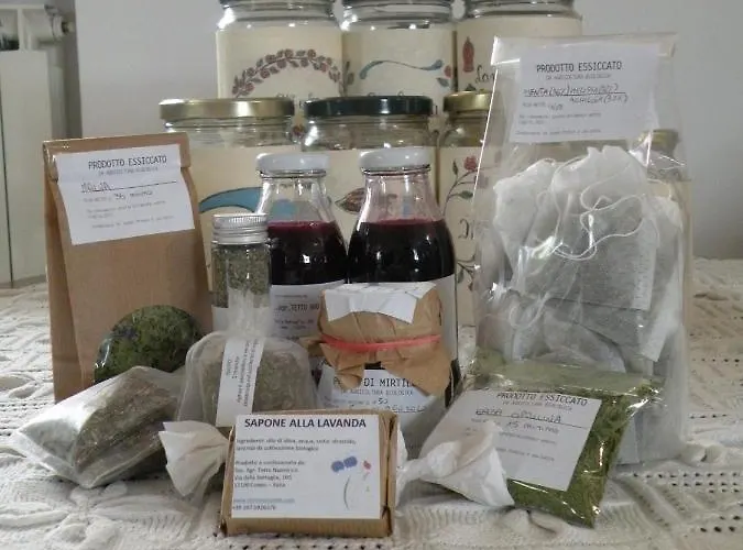 住宿加早餐酒店 Tetto Nuovo